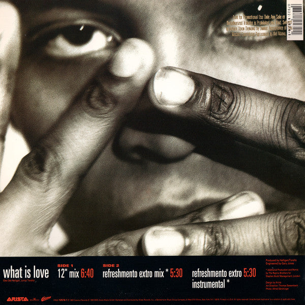 Haddaway : What Is Love (12")