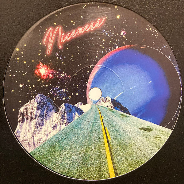 Various : NICENESS001 (12")