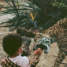 Unknown Mortal Orchestra : V (2xLP, Album)