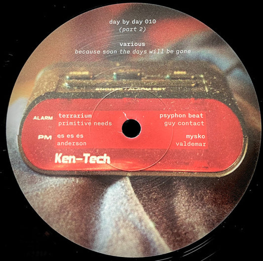 Various : Because Soon the Days Will Be Gone (12")