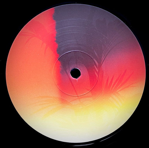 Various : Because Soon the Days Will Be Gone (12")
