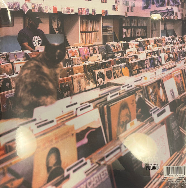 DJ Shadow : Endtroducing... (2xLP, Album, RE)