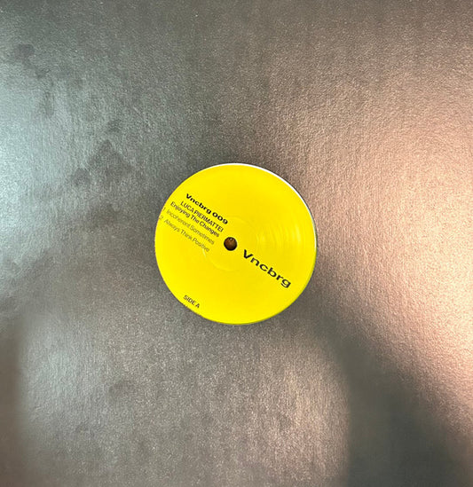 Luca Piermattei : Enjoying The Changes (12", EP)