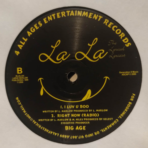 La La The Lyrical Lyricist : Summer Fun (12")