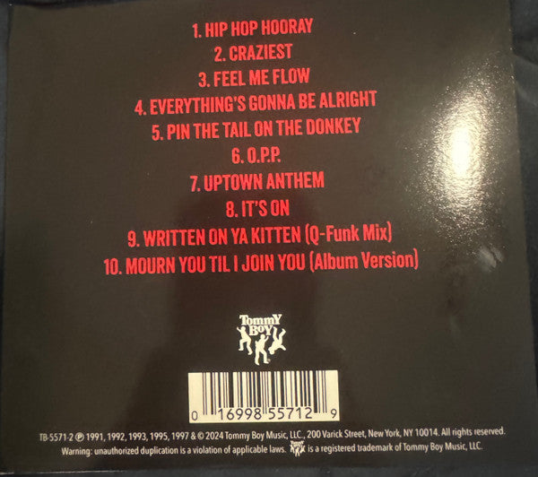 Naughty By Nature : The Naughtiest (Compilation)