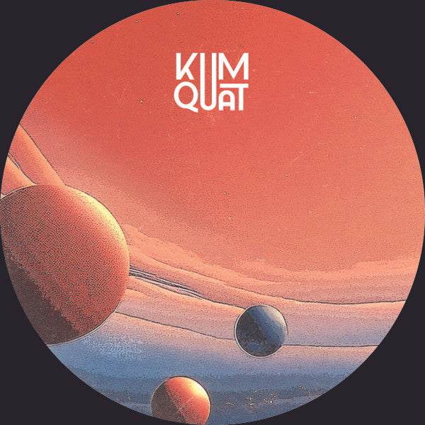 Various : Various Artists Vol. 1 (12", EP)