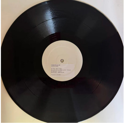 Various : Holland House 001 (12")
