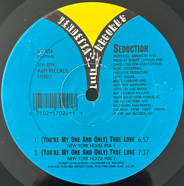 Seduction : (You're My One And Only) True Love (12")