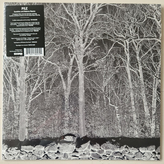 Pile (2) : Sunshine and Balance Beams (LP, Album)