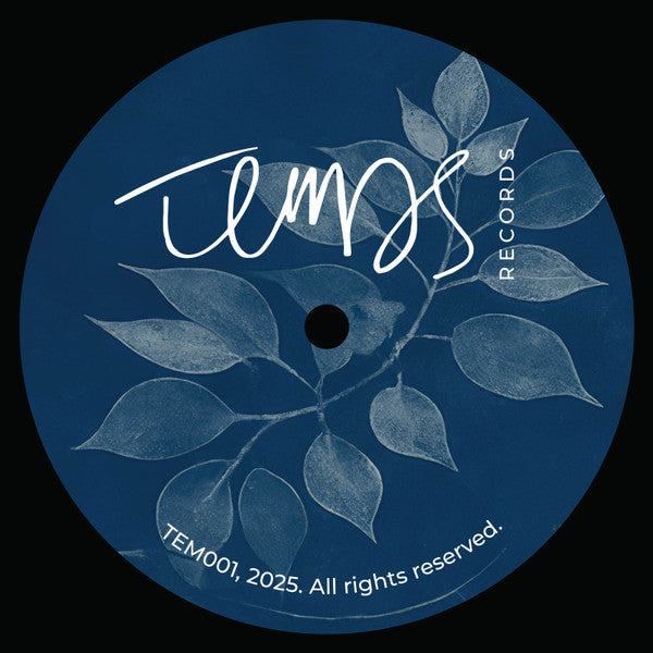 Sara Wual, Flabaire, Paul Cut, Mayan (PT) : Transnationality (12", EP)