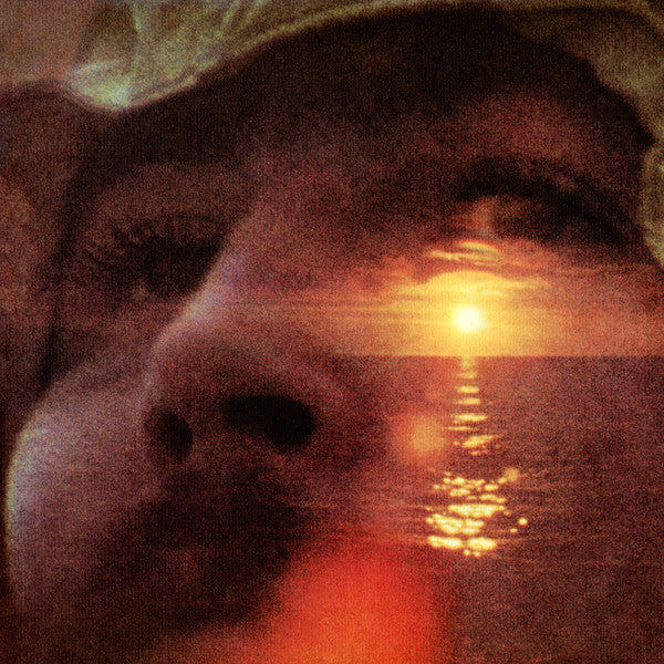 David Crosby : If I Could Only Remember My Name (LP, Album, Ter)