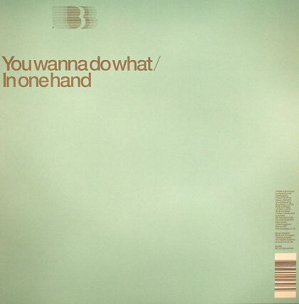 Derek Howell : You Wanna Do What / In One Hand (12")