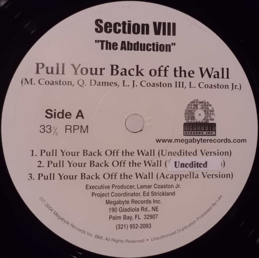 Section VIII : Pull Your Back Off The Wall (12",33 ⅓ RPM)