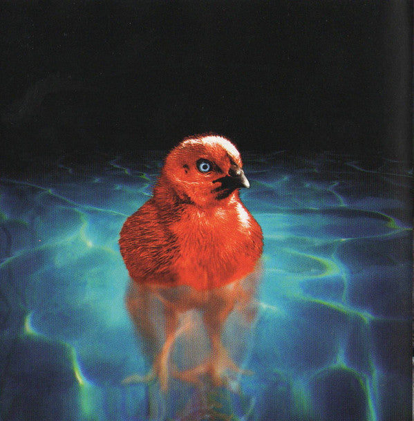 N*E*R*D : Fly Or Die (CD, Album, Enh)
