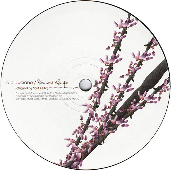 Luciano : Yamoré Remix (12")