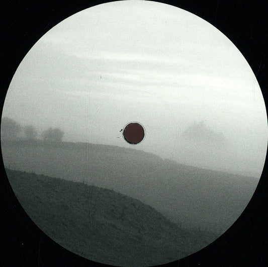 White Visitation (2) : Blank Slate 010 (12")