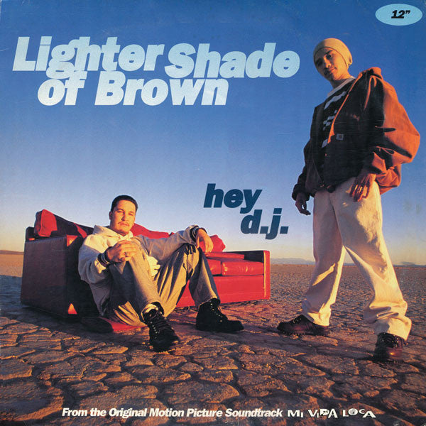 Lighter Shade Of Brown : Hey D.J. (12")