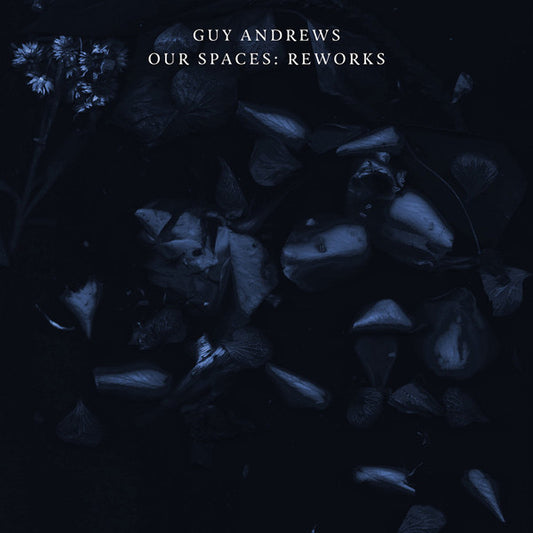 Guy Andrews : Our Spaces: Reworks (12")