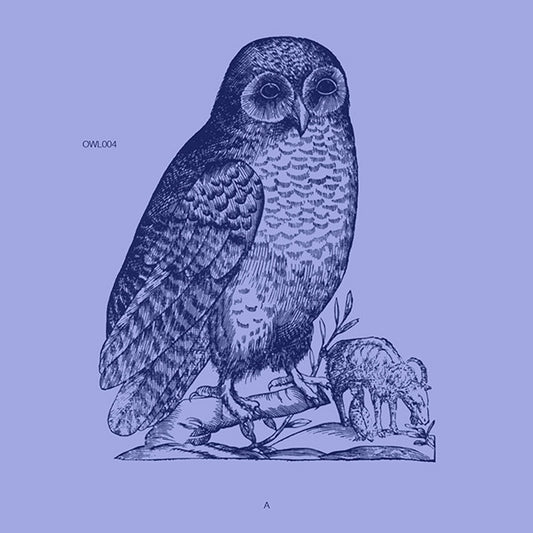 Unknown Artist : Untitled (12")