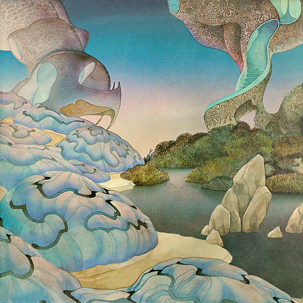 Steve Howe : Beginnings (LP, Album, Ric)