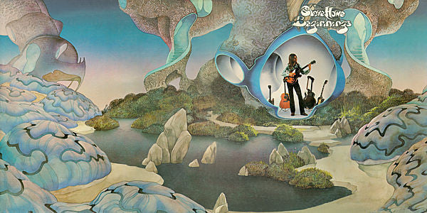 Steve Howe : Beginnings (LP, Album, Ric)