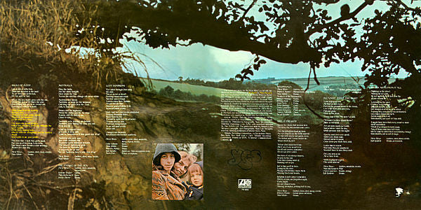 Steve Howe : Beginnings (LP, Album, Ric)