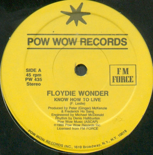 Floydie Wonder : Know How To Live (12")