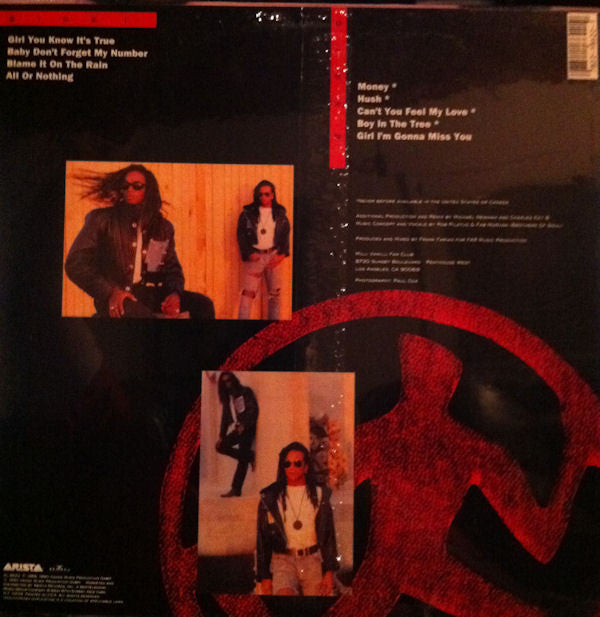 Milli Vanilli : The Remix Album (LP)