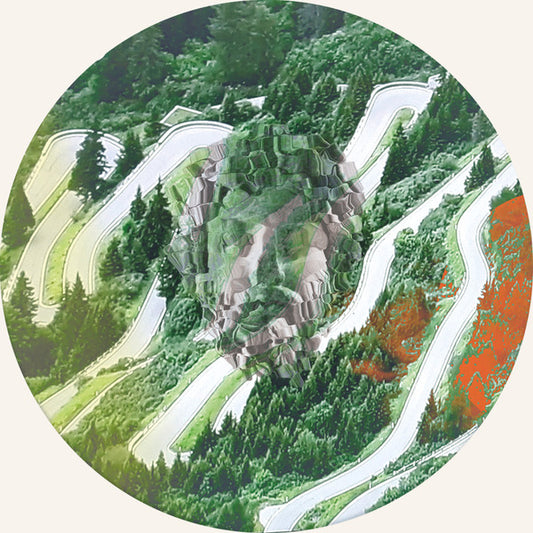 Various : P!L_WHT/002 (12")
